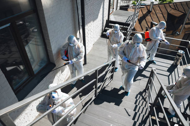 Best Airborne Mold Testing  in Stockbridge, MI