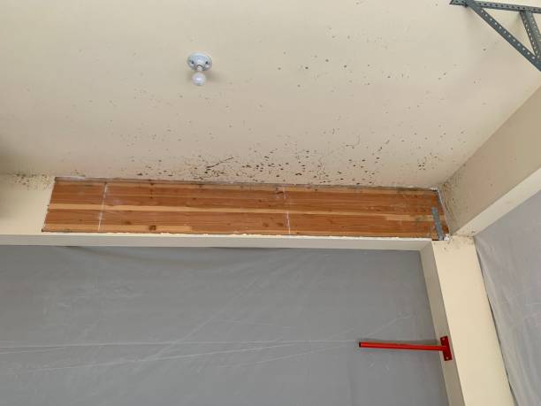 Best Post-Remediation Verification Testing  in Stockbridge, MI